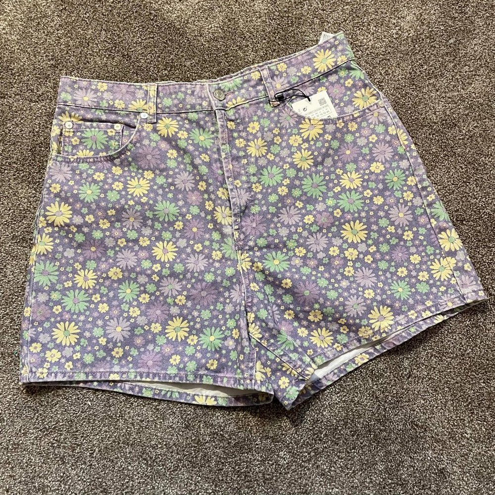 NWT Zara Shorts